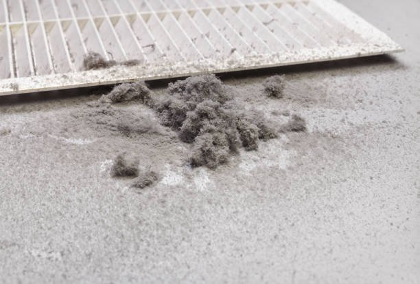 Best Professional Duct Cleaning Services  in Craigsville, WV