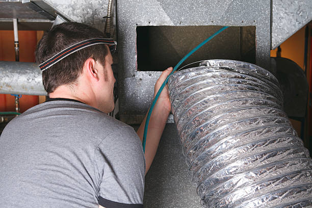 Best Air Duct Sanitizing Services  in Craigsville, WV