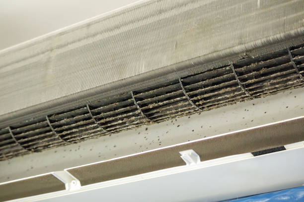 Best Affordable HVAC Duct Cleaning  in Craigsville, WV