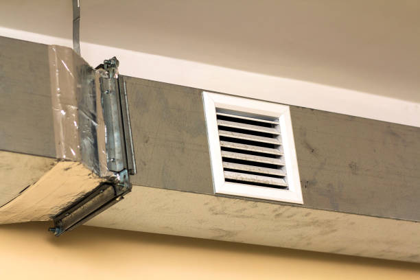 Best Duct Cleaning Specialists  in Craigsville, WV